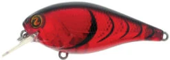 River2Sea Biggie Poppa Bumpin' Rattle Fast Squarebill 22 River2Sea Biggie Poppa Bumpin' Rattle Fast Squarebill -Fishing Promotion Store Biggie06ColdBlooded