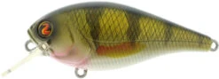River2Sea Biggie Smalls Bumpin' Rattle Fast Squarebill 27 River2Sea Biggie Smalls Bumpin' Rattle Fast Squarebill -Fishing Promotion Store Biggie09RealPerch c5a9ee01 1105 497b a7e3 bd9d18c5a7a6