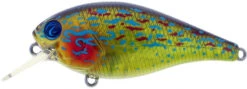River2Sea Biggie Smalls Bumpin' Rattle Fast Squarebill 28 River2Sea Biggie Smalls Bumpin' Rattle Fast Squarebill -Fishing Promotion Store Biggie10RealSunfish 323bf9b2 b316 48f7 bc1a 4ce7414152c7