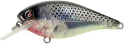 River2Sea Biggie Smalls Bumpin' Rattle Fast Squarebill 31 River2Sea Biggie Smalls Bumpin' Rattle Fast Squarebill -Fishing Promotion Store Biggie25T1000 9fc3b69d d21b 4585 86e2 77f69ea054df