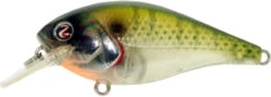 River2Sea Biggie Smalls Bumpin' Rattle Fast Squarebill 20 River2Sea Biggie Smalls Bumpin' Rattle Fast Squarebill -Fishing Promotion Store Biggie28Bluegill 370b56ee 5e7d 448d 8b77 a47cfb53650b