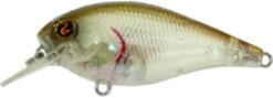 River2Sea Biggie Smalls Bumpin' Rattle Fast Squarebill 26 River2Sea Biggie Smalls Bumpin' Rattle Fast Squarebill -Fishing Promotion Store Biggie32Mullet f599f0db 018f 4333 bcb3 995973869649
