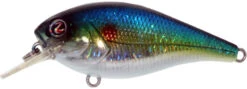 River2Sea Biggie Smalls Bumpin' Rattle Fast Squarebill 24 River2Sea Biggie Smalls Bumpin' Rattle Fast Squarebill -Fishing Promotion Store Biggie39HorizonShad a5616ec2 bb4e 4cbf b963 b1daefe5899e