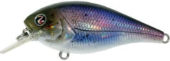 River2Sea Biggie Smalls Bumpin' Rattle Fast Squarebill 23 River2Sea Biggie Smalls Bumpin' Rattle Fast Squarebill -Fishing Promotion Store Biggie41HickoryShad 9b540c1f fafb 40af 8151 40e24835f059