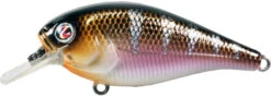River2Sea Biggie Poppa Bumpin' Rattle Fast Squarebill 33 River2Sea Biggie Poppa Bumpin' Rattle Fast Squarebill -Fishing Promotion Store Biggie45RiverShad 4106429b b0bb 4b70 8fad 353fcf07f940