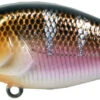 River2Sea Biggie Smalls Bumpin' Rattle Fast Squarebill 1 River2Sea Biggie Smalls Bumpin' Rattle Fast Squarebill -Fishing Promotion Store Biggie45RiverShad c9f6ea41 add8 4386 a3dc 8c86a465d3c6