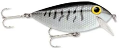 Storm Original Thinfin 06 Shallow-Medium Diving Crankbait 15 Storm Original Thinfin 06 Shallow-Medium Diving Crankbait -Fishing Promotion Store Black Crappie 33cee47c 9c32 4b08 979b e6b1526557ac