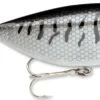 Storm Original Thinfin 08 Shallow-Medium Diving Crankbait 1 Storm Original Thinfin 08 Shallow-Medium Diving Crankbait -Fishing Promotion Store Black Crappie 690831c7 b3ec 4aed 9776 a96103246a0f