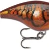 Rapala BX Brat 03 Square Bill Crankbait 2 Rapala BX Brat 03 Square Bill Crankbait -Fishing Promotion Store Blaze 47ec8747 9a2b 41c7 8657 c41da3af68e2