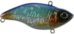SPRO Aruku Shad 75 Lipless Crankbait 24 SPRO Aruku Shad 75 Lipless Crankbait -Fishing Promotion Store Blue Shiner 8149b4b9 2064 4f5f a3af 52905dcb7cff