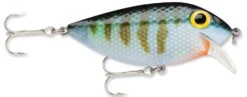 Storm Original Thinfin 06 Shallow-Medium Diving Crankbait 16 Storm Original Thinfin 06 Shallow-Medium Diving Crankbait -Fishing Promotion Store Bluegill 979add9f 4cd5 4303 a1d8 e019b6c4da9e
