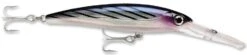 Rapala X-Rap Magnum 10 Big Game Slash Bait 24 Rapala X-Rap Magnum 10 Big Game Slash Bait -Fishing Promotion Store Bonito 34ca5cb0 2645 4b39 afa1 a1314fdb9354