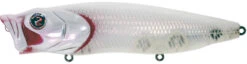 River2Sea Bubble Walker 128 Topwater Walker/Popper 20 River2Sea Bubble Walker 128 Topwater Walker/Popper -Fishing Promotion Store BubbleWalkerG58RPowder c53bbcab 826d 47d6 98cb a7814f0aa174