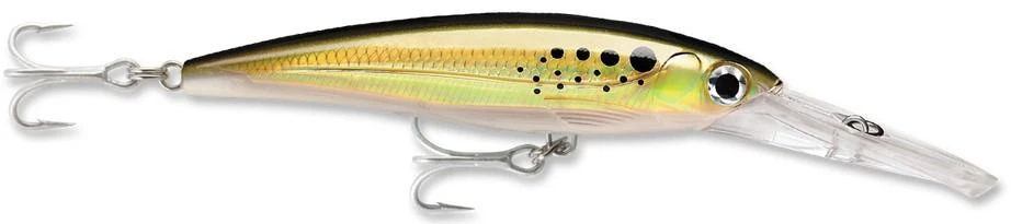 Rapala X-Rap Magnum 10 Big Game Slash Bait 6 Rapala X-Rap Magnum 10 Big Game Slash Bait - Image 4