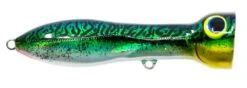 Nomad Design Chug Norris Freshwater/Inshore Popper 39 Nomad Design Chug Norris Freshwater/Inshore Popper -Fishing Promotion Store CHUG95 SGM
