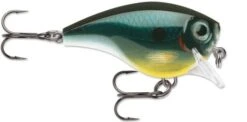 Rapala BX Brat 03 Square Bill Crankbait 22 Rapala BX Brat 03 Square Bill Crankbait -Fishing Promotion Store Carbon 0465b57c 0f8f 4010 b501 ef341a28210f