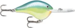 Rapala DT Series Crankbait DT Metal 20 25 Rapala DT Series Crankbait DT Metal 20 -Fishing Promotion Store Carribean Shad 976175bd 013c 4951 be31 93e8e1c52f8c