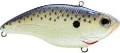 SPRO Aruku Shad 75 Lipless Crankbait 25 SPRO Aruku Shad 75 Lipless Crankbait -Fishing Promotion Store Cell Mate d6e7b25a 592d 4ca6 8952 d9ed08729a55