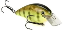 Strike King KVD Magnum Square Bill 8.0 Silent Crankbaits 24 Strike King KVD Magnum Square Bill 8.0 Silent Crankbaits -Fishing Promotion Store Chartreuse Perch d51405e2 a3ae 4d2a a6cf d3517b8f127c