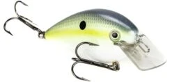 Strike King KVD Magnum Square Bill 8.0 Silent Crankbaits 25 Strike King KVD Magnum Square Bill 8.0 Silent Crankbaits -Fishing Promotion Store Chartreuse Sexy Shad cdcb5dc3 716d 40eb 8128 8297757b3cf9