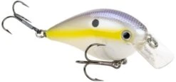 Strike King KVD Magnum Square Bill 8.0 Silent Crankbaits 26 Strike King KVD Magnum Square Bill 8.0 Silent Crankbaits -Fishing Promotion Store Chartreuse Shad e884e2df f2eb 4544 bb33 ad89a8491a96