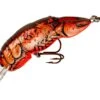 Rebel Big Craw 2 1/2 Inch Medium Diving Crankbait 1 Rebel Big Craw 2 1/2 Inch Medium Diving Crankbait -Fishing Promotion Store D7435