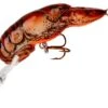 Rebel Deep Teeny Wee Crawfish Lure 1 1/2 Inch Medium Diving Crankbait 2 Rebel Deep Teeny Wee Crawfish Lure 1 1/2 Inch Medium Diving Crankbait -Fishing Promotion Store D7775