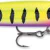 Rapala Down Deep Husky Jerk 14 Deep Diving Jerkbait 2 Rapala Down Deep Husky Jerk 14 Deep Diving Jerkbait -Fishing Promotion Store DHJ12 14 HSP