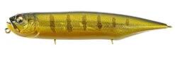 Megabass Dog-X Diamante Rattling Topwater Walker 22 Megabass Dog-X Diamante Rattling Topwater Walker -Fishing Promotion Store DOG X DIAMANTE RATTLE GG PERCH 5524aa1c cb8b 474b a897 571ab562e18a