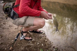 Temple Fork Outfitters Trout-Panfish Spinning Rods 24 Temple Fork Outfitters Trout-Panfish Spinning Rods -Fishing Promotion Store DSC04055 IG