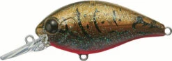 Evergreen International CR-6 Medium Diving Crankbait 29 Evergreen International CR-6 Medium Diving Crankbait -Fishing Promotion Store EVG CR 6 216 Olive Crawdad