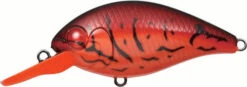 Evergreen International CR-6 Medium Diving Crankbait 23 Evergreen International CR-6 Medium Diving Crankbait -Fishing Promotion Store EVG CR 6 64 Fire Craw