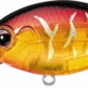 Evergreen International CR-6 Medium Diving Crankbait 1 Evergreen International CR-6 Medium Diving Crankbait -Fishing Promotion Store Evergreen CR 019