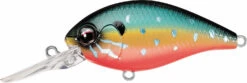Evergreen International CR-13 Deep Diving Crankbait 30 Evergreen International CR-13 Deep Diving Crankbait -Fishing Promotion Store Evergreen CR 214 TIF