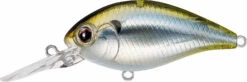 Evergreen International CR-13 Deep Diving Crankbait 25 Evergreen International CR-13 Deep Diving Crankbait -Fishing Promotion Store Evergreen CR 426 TIF 73f3e2fd 4b66 42f2 aabc 557c795a1889