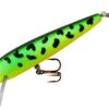 Rebel Value Minnow Shallow Jerkbait Hard Minnow 2 Rebel Value Minnow Shallow Jerkbait Hard Minnow -Fishing Promotion Store F5056V