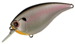 Evergreen International Flat Force 4 Flat-Sided Shallow Diving Crankbait 24 Evergreen International Flat Force 4 Flat-Sided Shallow Diving Crankbait -Fishing Promotion Store FF 4 362