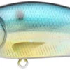 Megabass Flap Slap 2 Megabass Flap Slap -Fishing Promotion Store FLAPSLAP GGTHREAD