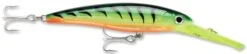 Rapala X-Rap Magnum 10 Big Game Slash Bait 26 Rapala X-Rap Magnum 10 Big Game Slash Bait -Fishing Promotion Store Firetiger 170070d0 d640 4c03 a863 241a1afc542b