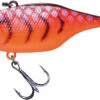 Jackall TN 60/70 Disc Knocker Lipless Crankbait 2 Jackall TN 60/70 Disc Knocker Lipless Crankbait -Fishing Promotion Store FishJackall TN Disk Knocker ANGRY CRAW primary