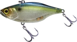 Jackall TN 60/70 Disc Knocker Lipless Crankbait 17 Jackall TN 60/70 Disc Knocker Lipless Crankbait -Fishing Promotion Store FishJackall TN Disk Knocker SG THREADFIN SHAD primary