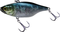 Jackall TN 50/60/70 Lipless Crankbait 26 Jackall TN 50/60/70 Lipless Crankbait -Fishing Promotion Store FishJackall TN HL AURORA BLACK primary