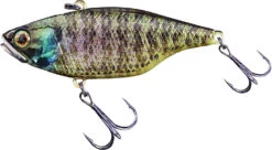 Jackall TN 50/60/70 Lipless Crankbait 35 Jackall TN 50/60/70 Lipless Crankbait -Fishing Promotion Store FishJackall TN RT HOLO BLUEGILL primary