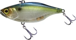 Jackall TN 50/60/70 Lipless Crankbait 37 Jackall TN 50/60/70 Lipless Crankbait -Fishing Promotion Store FishJackall TN SG THREADFIN SHAD primary