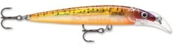 Rapala Scatter Rap Deep Husky Jerk 31 Rapala Scatter Rap Deep Husky Jerk -Fishing Promotion Store Glass Purple Sunfire be42027e 10b2 4e82 9acf 0ef00c8b79b4