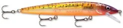 Rapala Husky Jerk 14 Jerkbait/Trolling Minnow 32 Rapala Husky Jerk 14 Jerkbait/Trolling Minnow -Fishing Promotion Store Glass Purple Sunfire ff032fa7 3e50 437f 9723 74b197ad5378