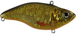 SPRO Aruku Shad Jr. Lipless Crankbait 24 SPRO Aruku Shad Jr. Lipless Crankbait -Fishing Promotion Store Gold Black fc40c856 4318 445c a064 fee66d52012f