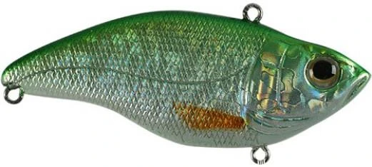 SPRO Aruku Shad Jr. Lipless Crankbait 9 SPRO Aruku Shad Jr. Lipless Crankbait - Image 7
