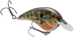 Strike King Chick Magnet Flat Sided Crankbait 21 Strike King Chick Magnet Flat Sided Crankbait -Fishing Promotion Store HCCM 663