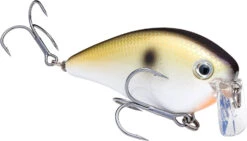 Strike King KVD 2.5 Wake Bait Waking Crankbait 31 Strike King KVD 2.5 Wake Bait Waking Crankbait -Fishing Promotion Store HCKVD2.5W 469